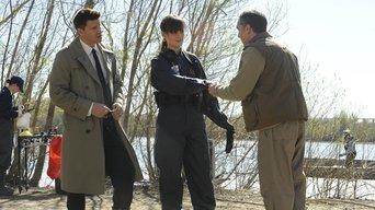 The Feet on the Beach