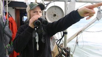 This Must Be the Place