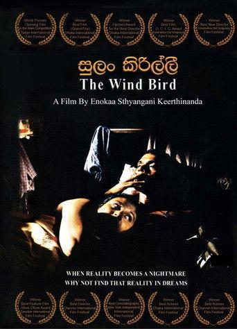 The Wind Birds film afişi