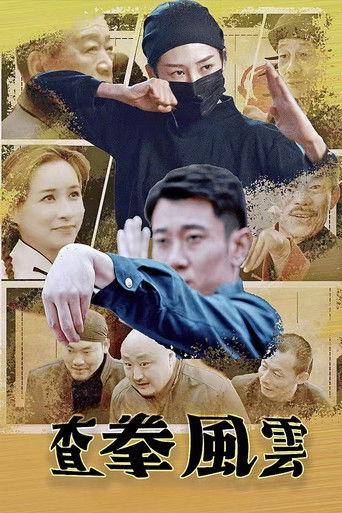 查拳风云 film afişi