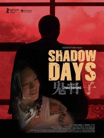 Shadow Days film afişi