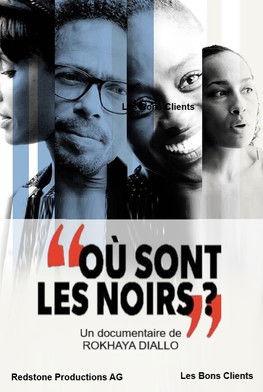 Où sont les noirs ? film afişi