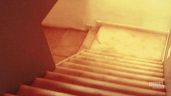 The Beauty and the Beast Mystery