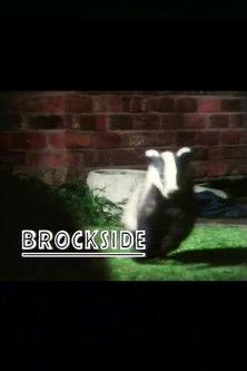 Brockside film afişi