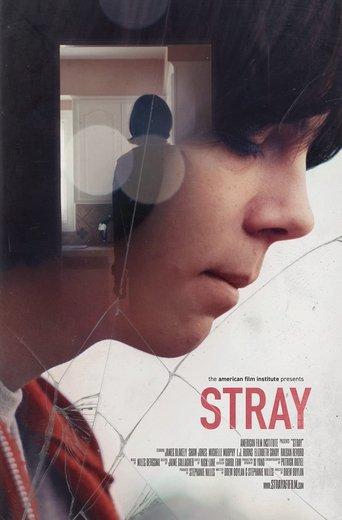 Stray film afişi