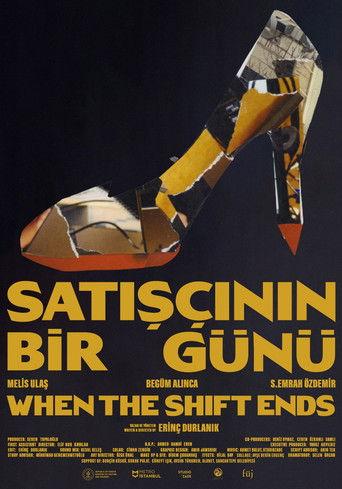 Satışçının Bir Günü film afişi