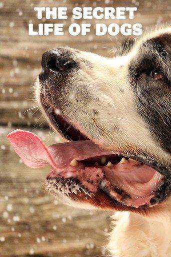 The Secret Life of Dogs dizi afişi