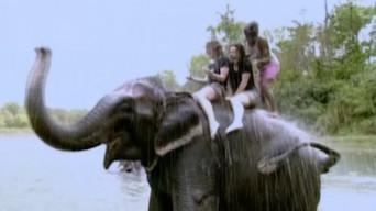 Nirvana Is Not In Seattle (Nepal, Part 2)