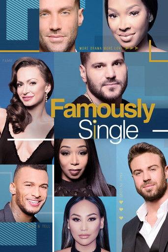 Famously Single dizi afişi