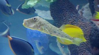 A Guiding Light to Fitness