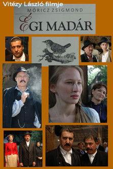 Égi madár film afişi