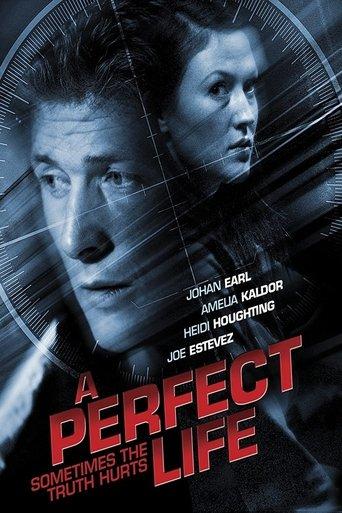 A Perfect Life film afişi