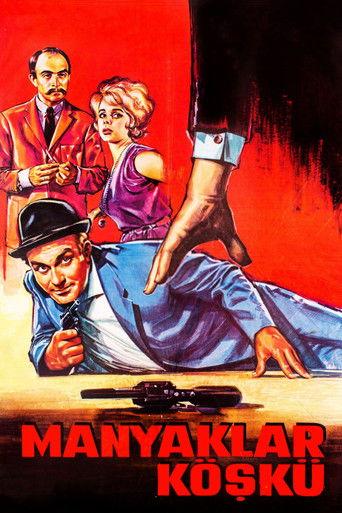 The Maniacs' Villa film afişi