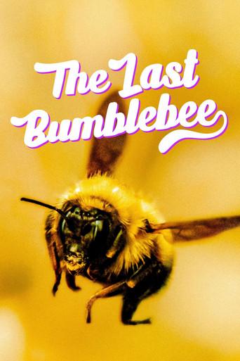 The Last Bumblebee film afişi