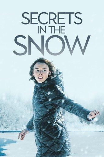 Secrets in the Snow film afişi