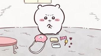 Which One? / What Did You Put Inside?