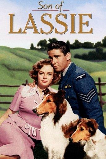 Son of Lassie film afişi