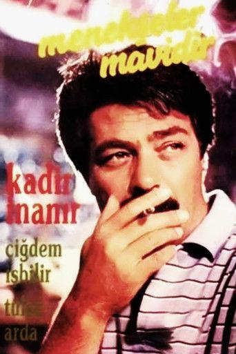 Menekşeler Mavidir film afişi