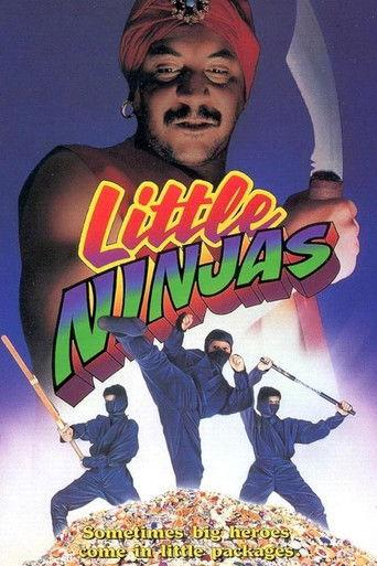 Little Ninjas film afişi