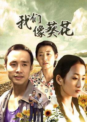 我们像葵花 dizi afişi
