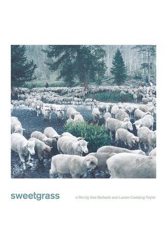 Sweetgrass film afişi