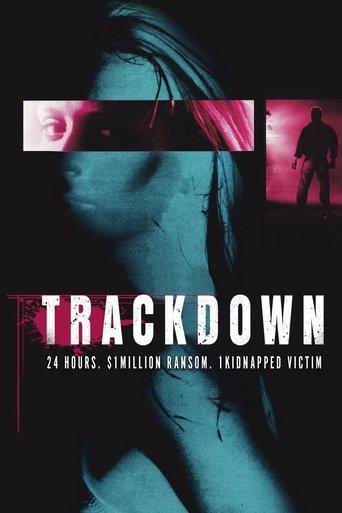 The Finder film afişi