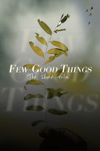 Few Good Things film afişi