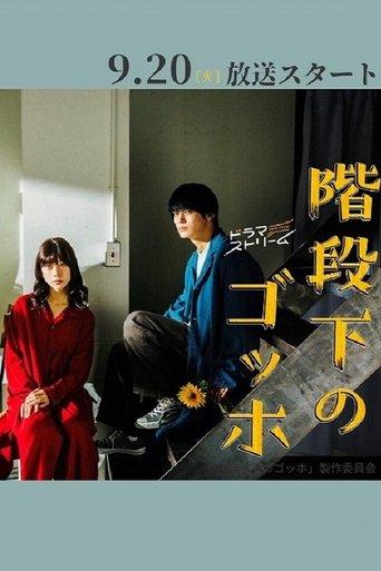 The Van Gogh Downstairs dizi afişi