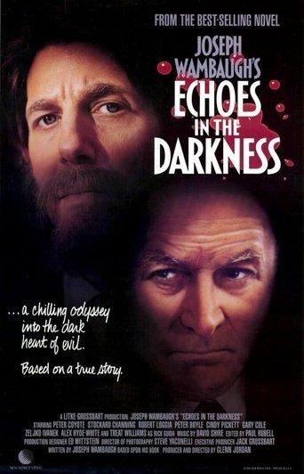Echoes in the Darkness film afişi