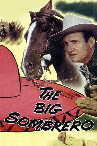 The Big Sombrero film afişi