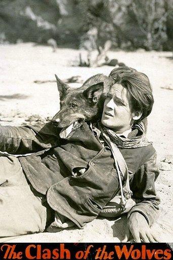 Clash of the Wolves film afişi