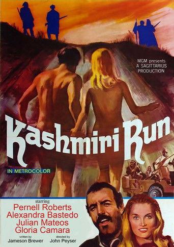 The Kashmiri Run film afişi