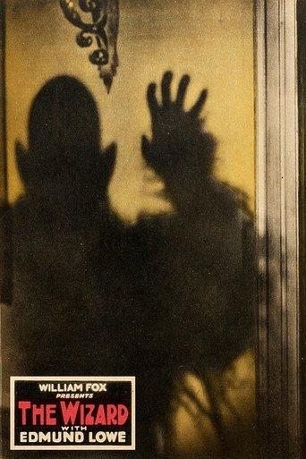 The Wizard film afişi