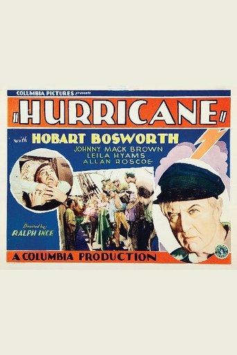 Hurricane film afişi
