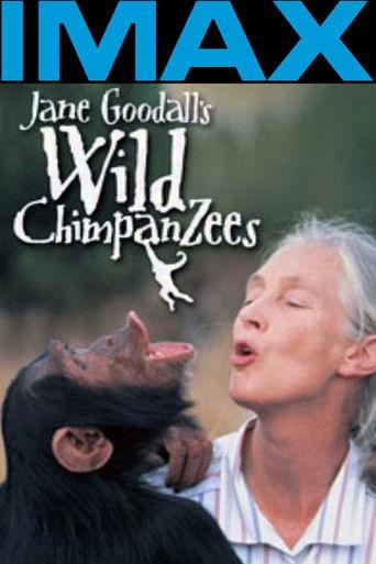 Jane Goodall's Wild Chimpanzees film afişi