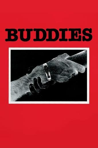 Buddies film afişi