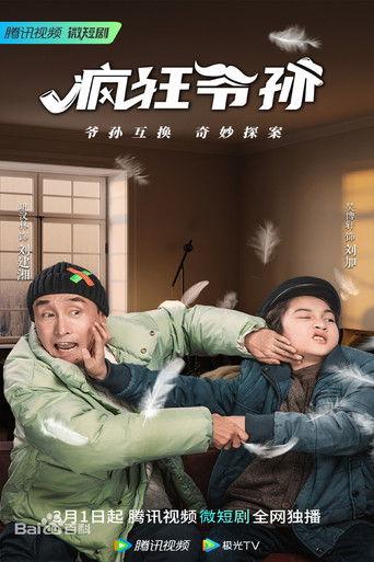 疯狂爷孙 dizi afişi