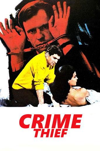 Crime Thief film afişi