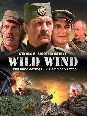 Wild Wind film afişi
