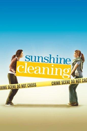 Sunshine Cleaning film afişi