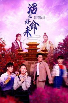 Perfectly Imperfect dizi afişi