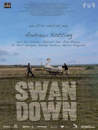 Swandown film afişi