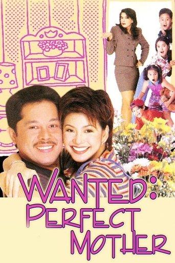 Wanted: Perfect Mother film afişi