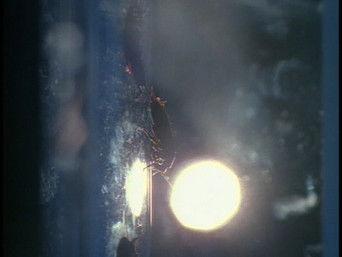 Behind the truth - War Of The Coprophages