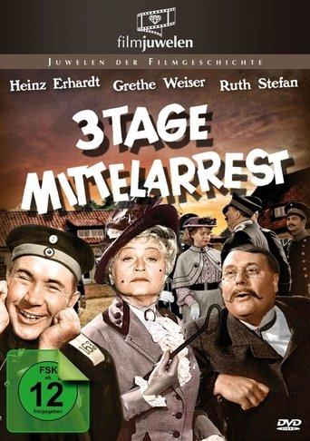 Drei Tage Mittelarrest film afişi