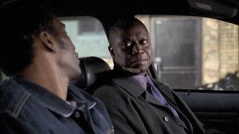 To Have and Have Not