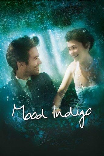 Mood Indigo film afişi