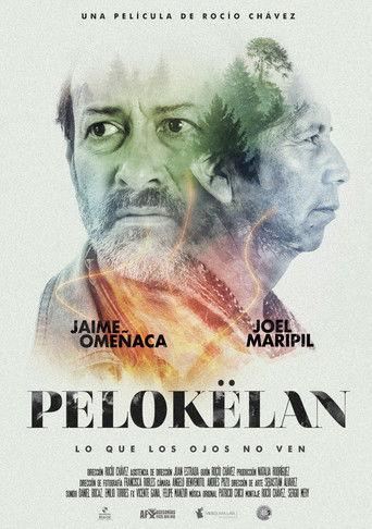 Pelokëlan film afişi