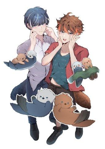 Anila and Cocora dizi afişi