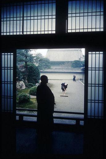 In the World of Zen film afişi